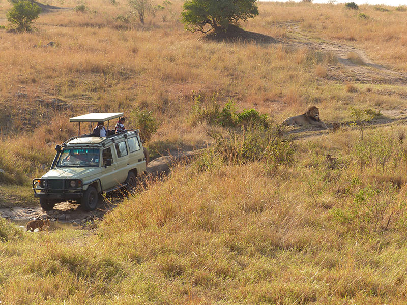 Safari Kenya Masai Mara