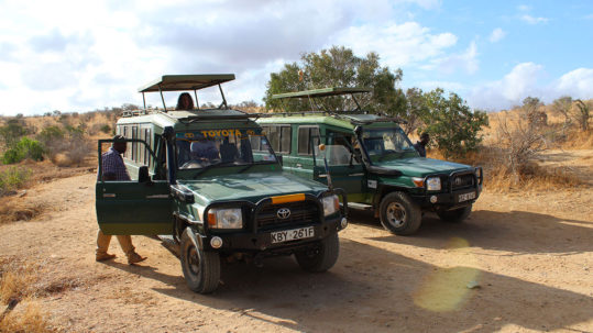 safari-kenya-agosto-baraka