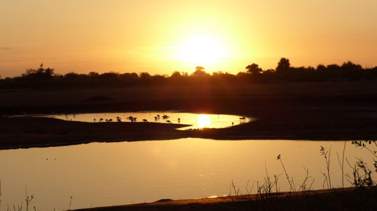 safari-in-kenya-tramonto